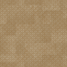 Обои шириной 70 см и длиной 10,05 метров Zambaiti Trussardi VIII Z30348