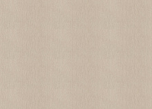 Rasch Golden Hour 941753