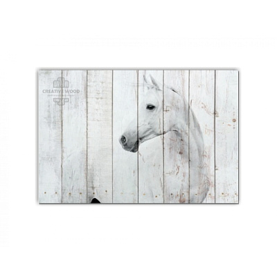 Картины ZOO - 13 Белая лошадь, ZOO, Creative Wood