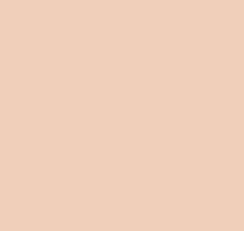 Однотонные оранжевые обои (фон) Loymina Materials Lotus LOT1, 701