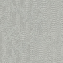 Zambaiti Lamborghini 2 90036