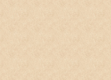 Обои шириной 70 см и длиной 10,05 метров Zambaiti Trussardi VIII Z30347